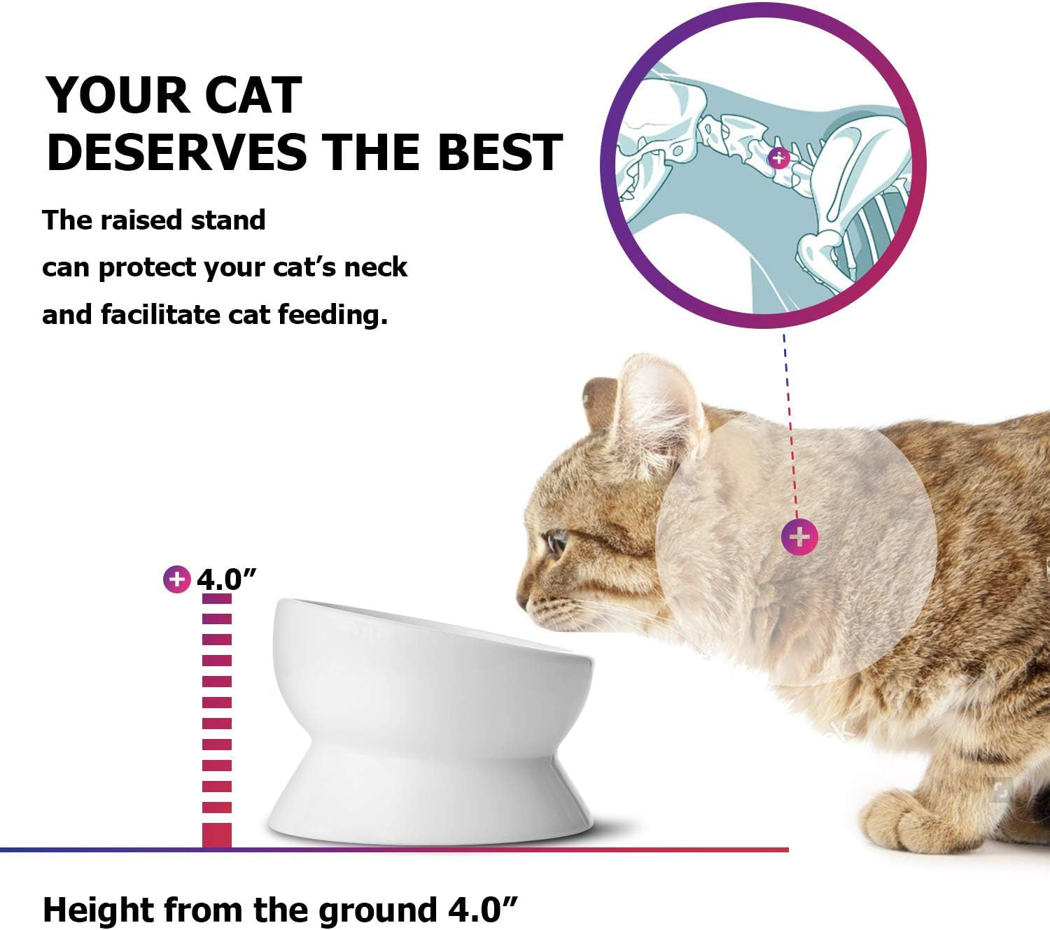 The Catfia Executive Dining: The Tilted Ceramic Throne