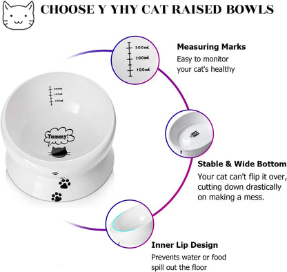 The Catfia Executive Dining: The Tilted Ceramic Throne