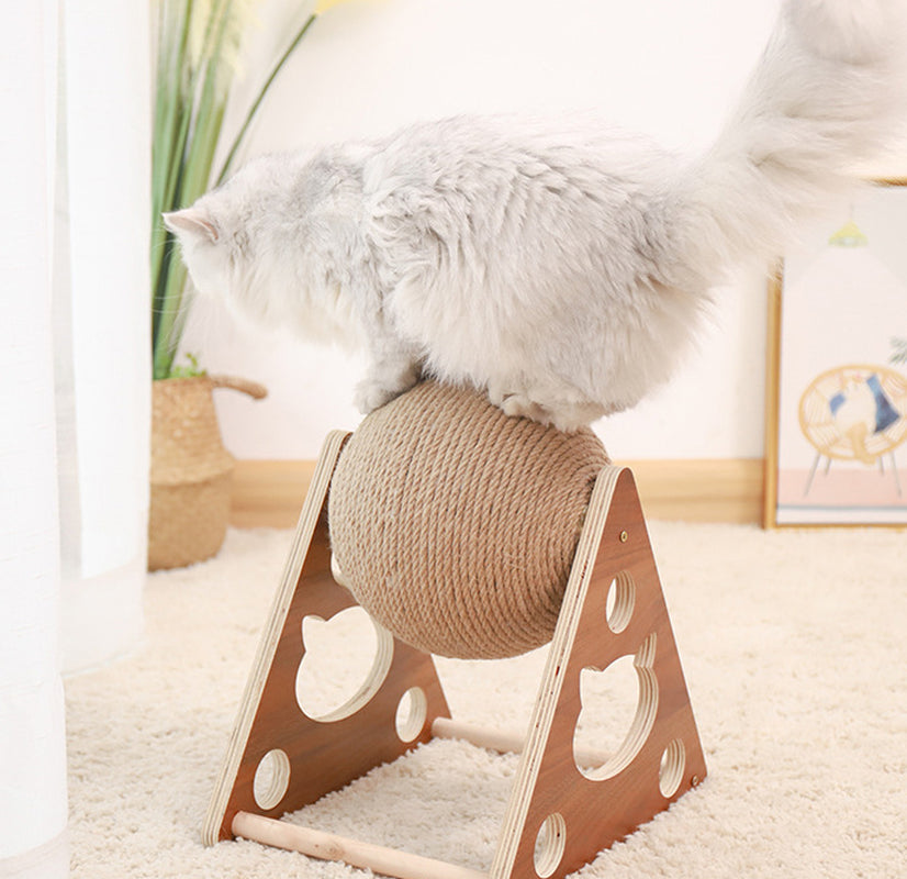 Tactical Kit: Executive Sisal Scratcher & The "Illuminated" Associate Night Light