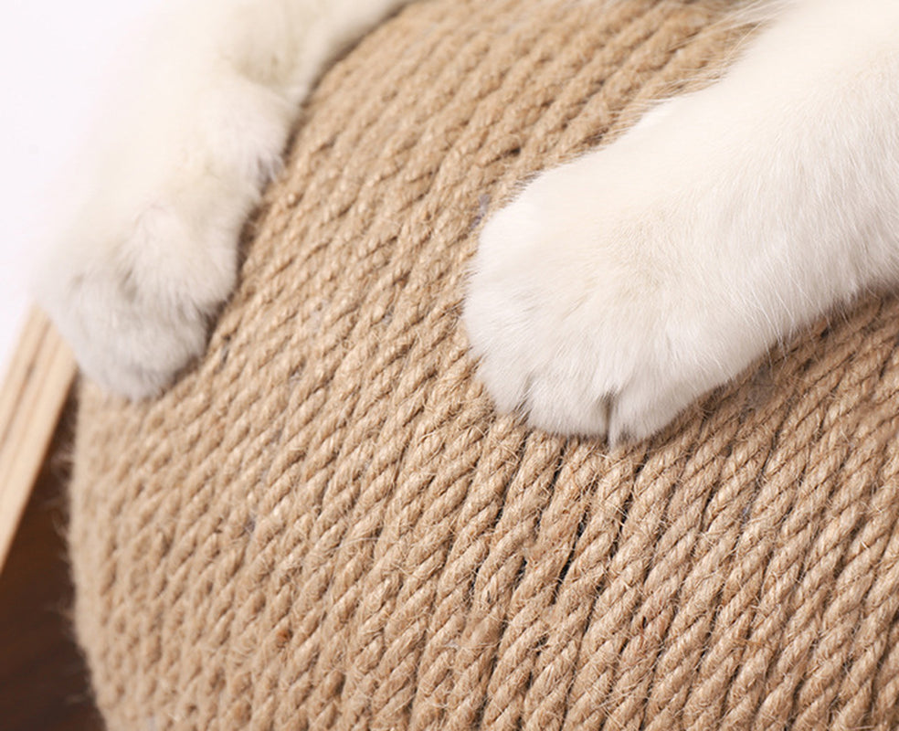Tactical Kit: Executive Sisal Scratcher & The "Illuminated" Associate Night Light