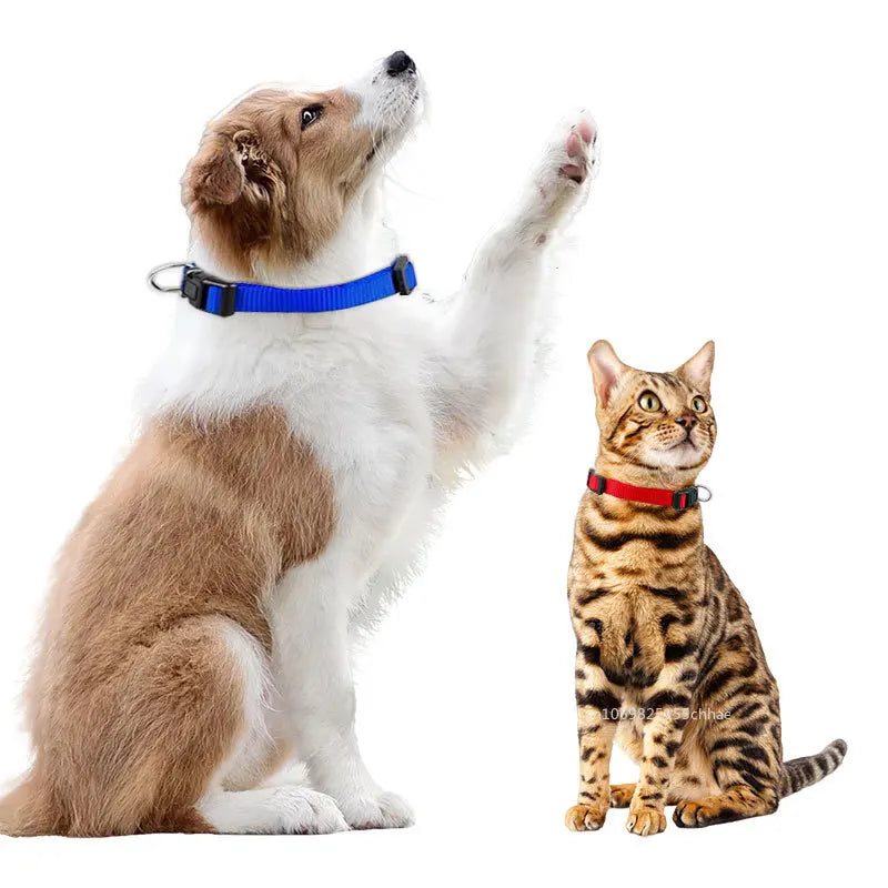 Solid Color Nylon Pet Dog Collar Adjustable Soft Puppy Cat Stuff Collar Necklace Pet Supplies S-XL Perros Accesorios